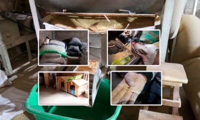 Elecciones 2026: Más de 7 mil ciudadanos en Huancayo ya tienen roles para el 12 de abril