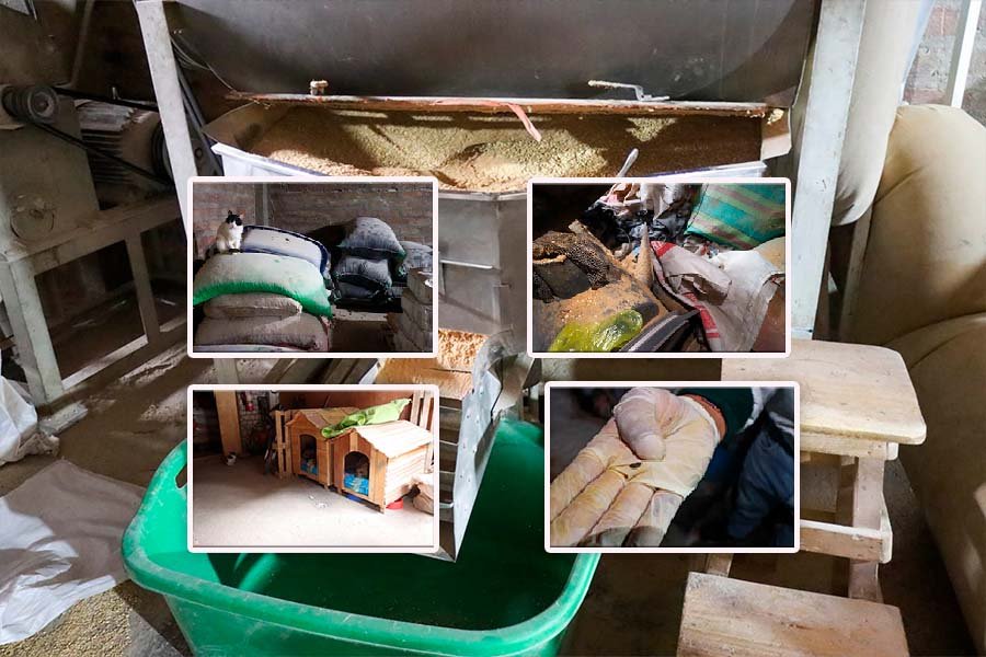 Elecciones 2026: Más de 7 mil ciudadanos en Huancayo ya tienen roles para el 12 de abril