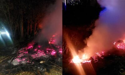 Serenos de Huancayo sofocan incendio forestal que amenazaba viviendas en Palian