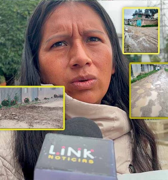 Vecinos del pasaje Jazmines exigen ser incluidos en proyecto de pistas y veredas