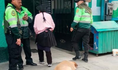 Serenos de Chilca auxilian a mujer de 60 años tras ser agredida con un objeto punzante