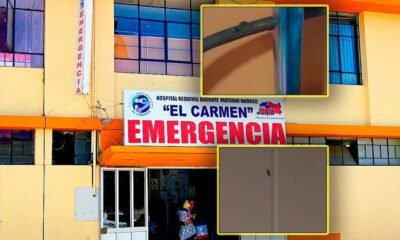 Hospital El Carmen: Evalúan interpelar a director tras hallazgo de cucarachas y hormigas