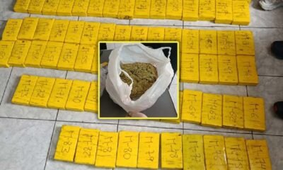 Golpe al narcotráfico: Caen "Los Fríos de Pampas" con cargamento de droga valorizado en medio millón de soles