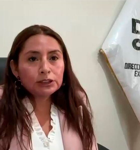 Mafias del turismo amenazan de muerte a Directora de Dircetur Junín para frenar operativos