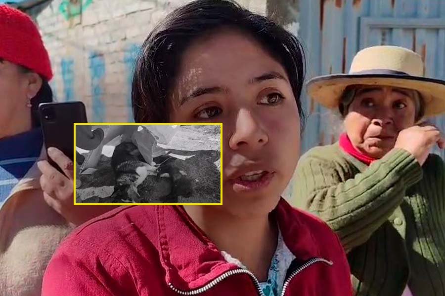 Vecinos de Viñas del Mantaro exigen medidas urgentes tras atropello de dos perros en avenida Mantaro