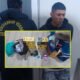 Grupo Terna captura a presunto implicado en estafa agravada y posesión de cannabis