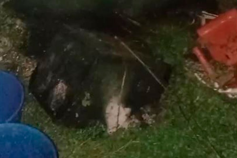 Serenos controlan incendio provocado por quema de basura reciclable en Huancayo