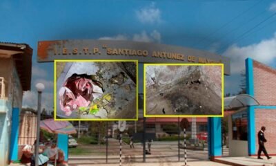 Ordenan cierre inmediato de cafetín de instituto tras hallazgo de excretas de roedores