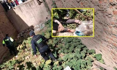 Serenos de Chilca auxilian a hombre herido hallado en terreno abandonado