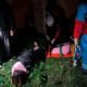Serenos auxiliaron a joven que cayó desde un tercer piso en el sector de Palián