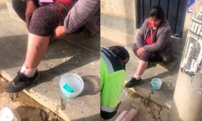 Jauría de perros ataca a mujer cerca de colegio y genera alarma entre vecinos