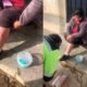 Jauría de perros ataca a mujer cerca de colegio y genera alarma entre vecinos