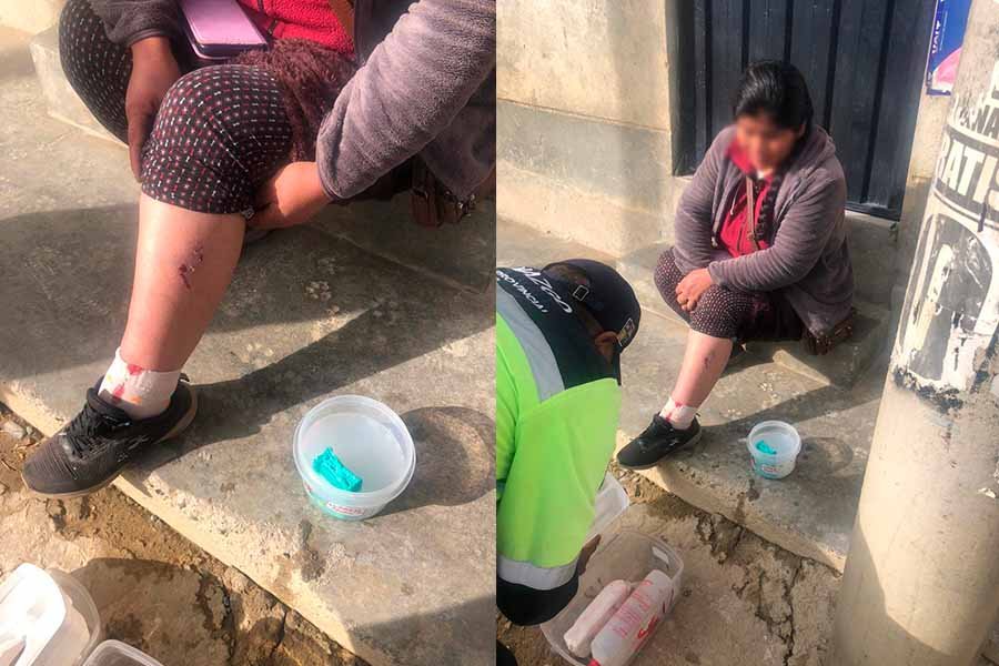 Jauría de perros ataca a mujer cerca de colegio y genera alarma entre vecinos