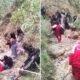 Serenazgo de Chilca interviene a ocho menores hallados en aparente estado de ebriedad en Azapampa
