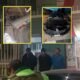 Detienen a tres personas tras presunto robo de memorias de vehículos en Antaccocha