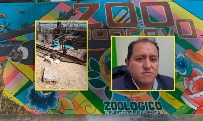 Dos incidentes en un mismo día ponen en jaque la seguridad del zoológico municipal de Huancayo
