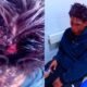 Joven denuncia agresión y pérdida de celular tras pelea en billar