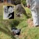Joven de 18 años es hallada sin vida tras asistir a fiesta de chicha en Sapallanga