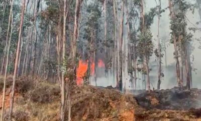 Incendio forestal en Hualhuas afecta hasta 20 hectáreas y pobladores piden apoyo para controlar las llamas