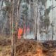 Incendio forestal en Hualhuas afecta hasta 20 hectáreas y pobladores piden apoyo para controlar las llamas