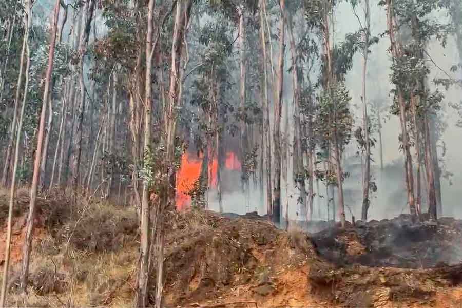 Incendio forestal en Hualhuas afecta hasta 20 hectáreas y pobladores piden apoyo para controlar las llamas